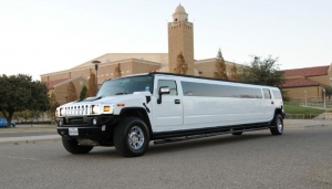 Unveiling The Bay Area's Most Opulent Limo Service